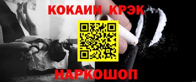 крисы Кингисепп