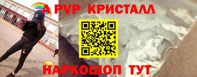 крисы Кингисепп