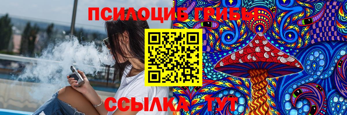Балтийск  купить наркотик  Псилоцибиновые грибы Magic Shrooms  Вход с VPN  Галлюциногенные грибы GOLDEN TEACHER 